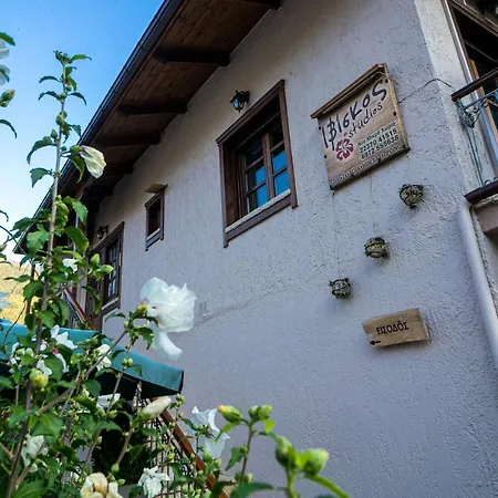 Διαμέρισμα Iviscos *