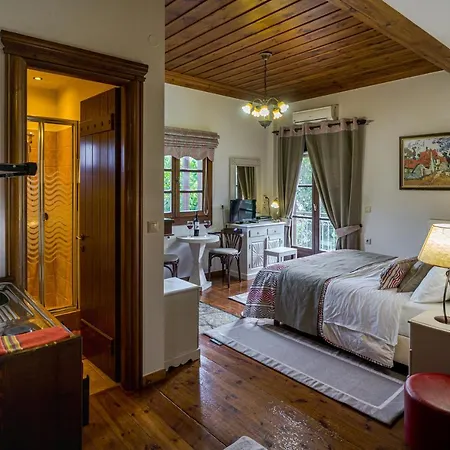 Iviscos * Mikrón Khoríon